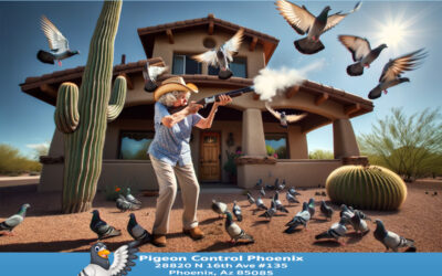 Best Pigeon Removal Phoenix Az – How to Remove Pigeons