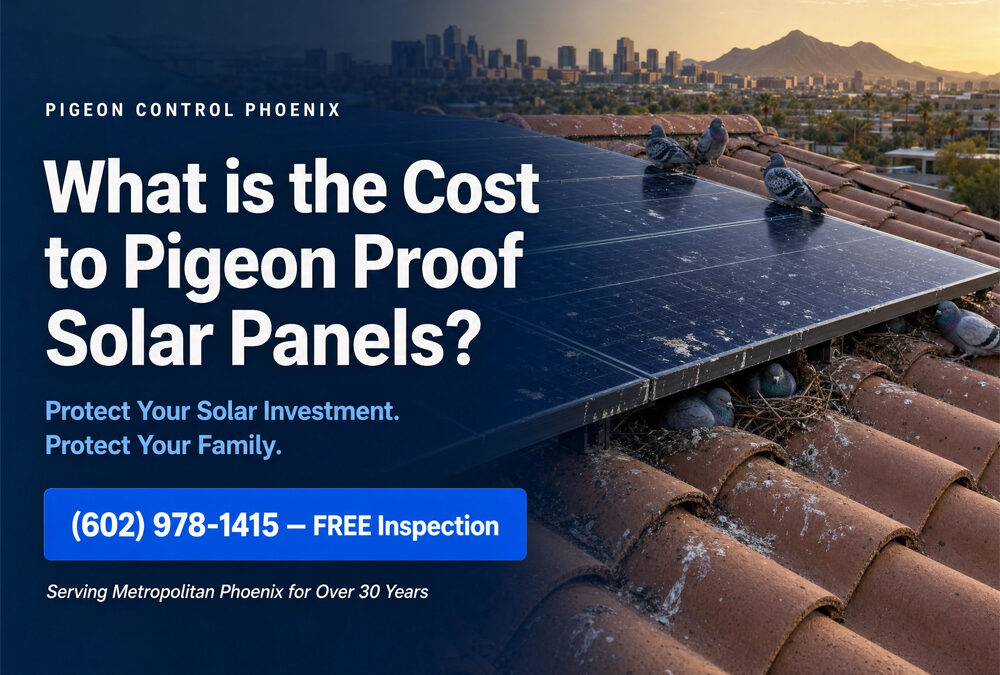 What is the Cost to Pigeon Proof Solar Panels in Phoenix AZ