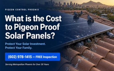 What is the Cost to Pigeon Proof Solar Panels in Phoenix AZ?