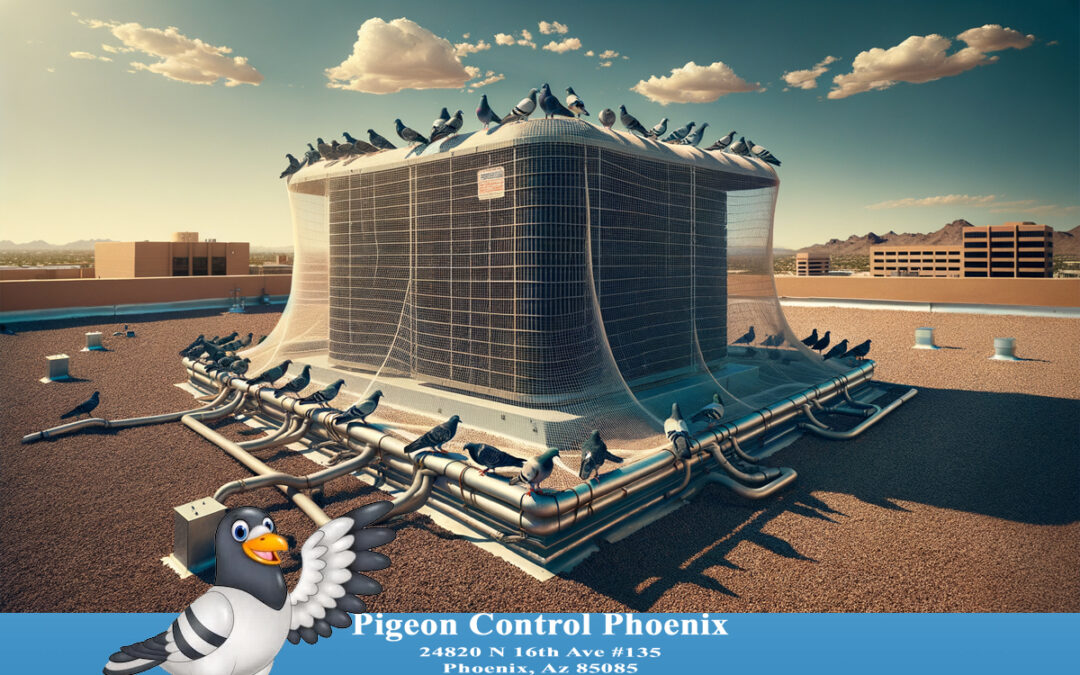 HVAC Pigeon Removal and Exclusion