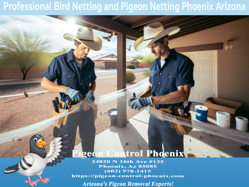 Professional HVAC Pigeon Removal and Exclusion