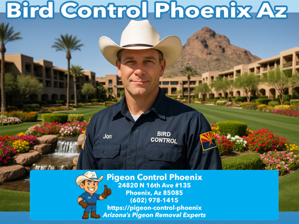 Bird Control Phoenix Az | Bird Removal Phoenix Az