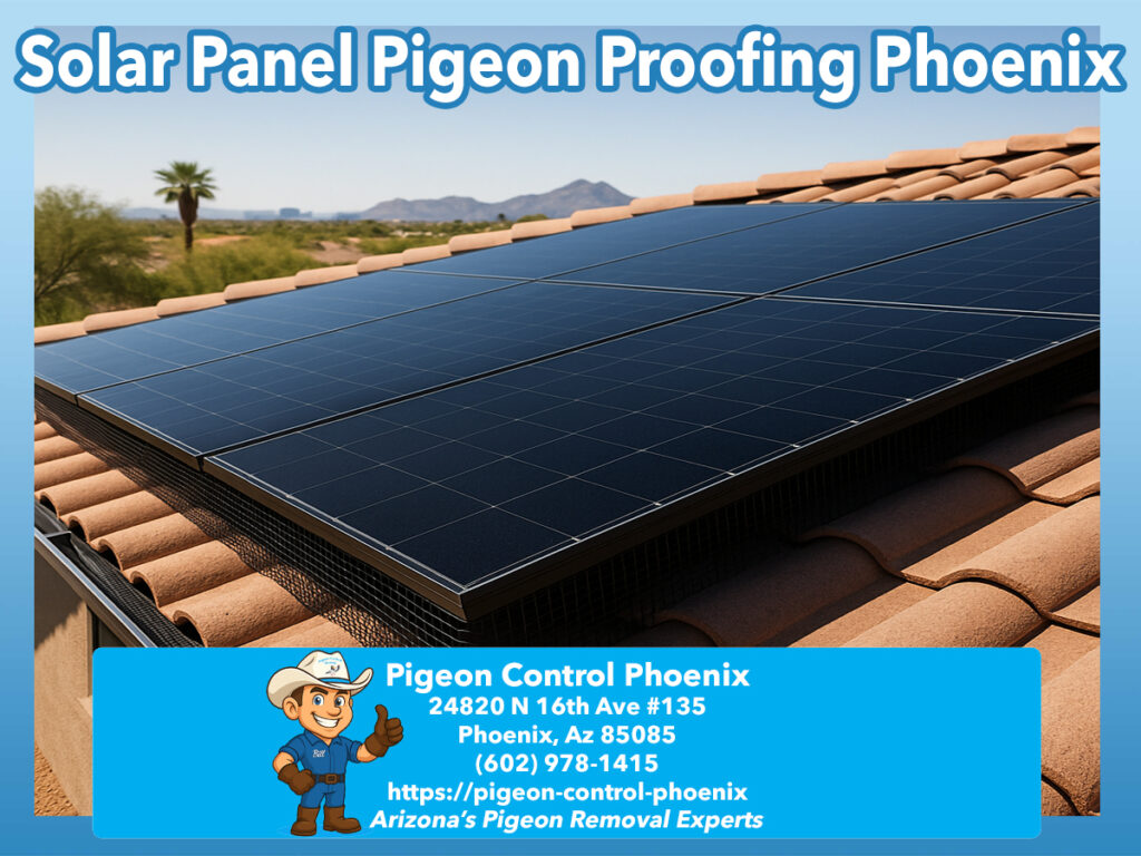 Solar Panel Pigeon Proofing Phoenix