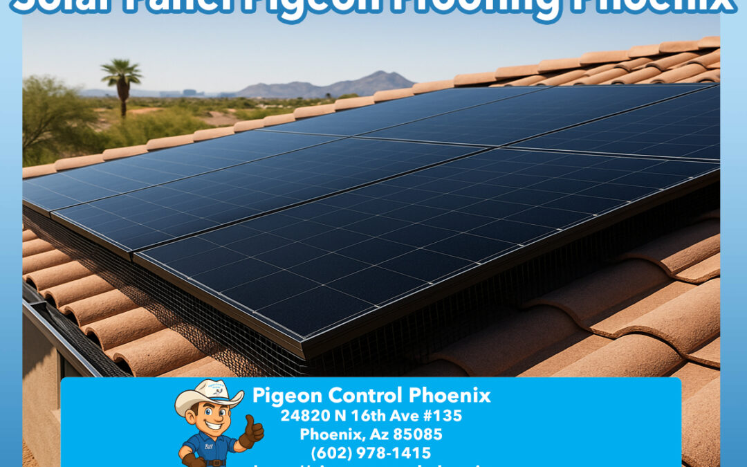 Solar Panel Pigeon Proofing Phoenix