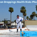 Pigeon Droppings Health Risks Phoenix Az