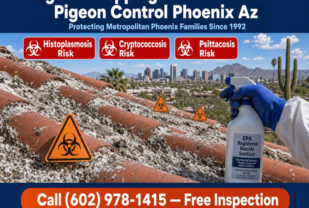 Pigeon Droppings Health Risks Phoenix Az | Cleanup Services