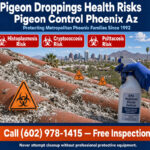Pigeon Droppings Health Risks Phoenix Az | Cleanup Services