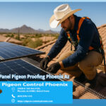 Best Solar Panel Pigeon Proofing Phoenix Az
