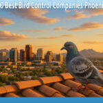 Top 10 Best Bird Control Companies Phoenix AZ