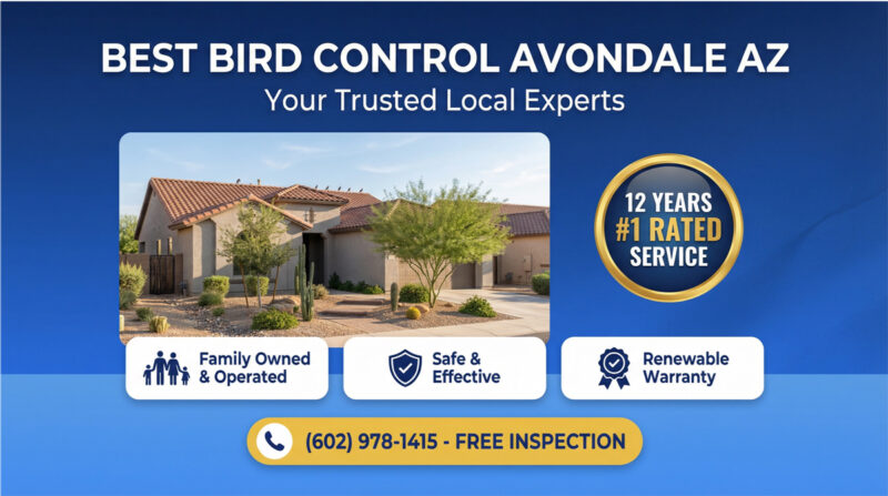 Best Bird Control Avondale Az