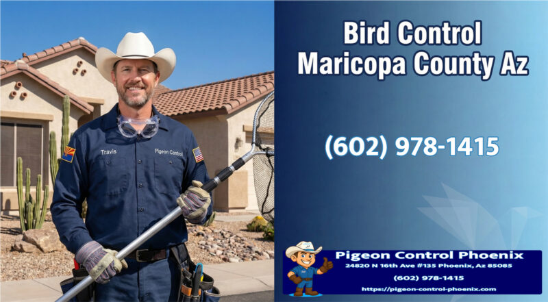 Best Bird Control Maricopa County Az