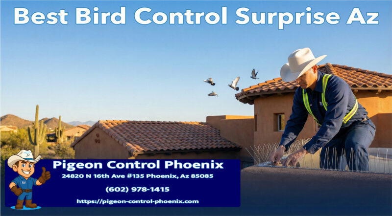 Best Bird Control Surprise Az