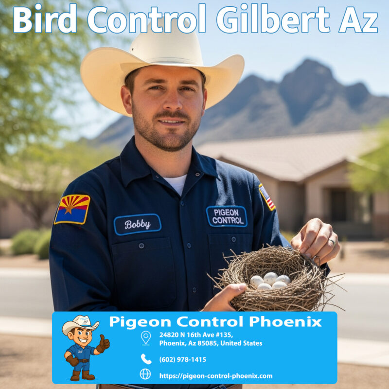 Bird Control Gilbert Az