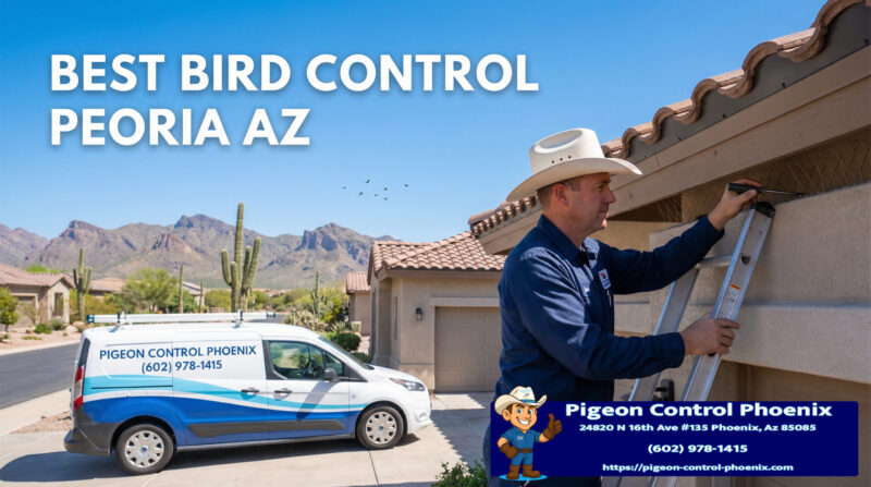 Bird Control Peoria Az