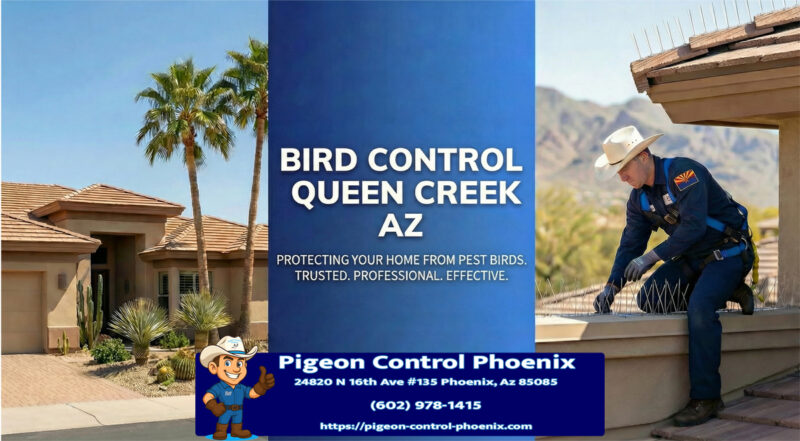 Bird Control Queen Creek Az