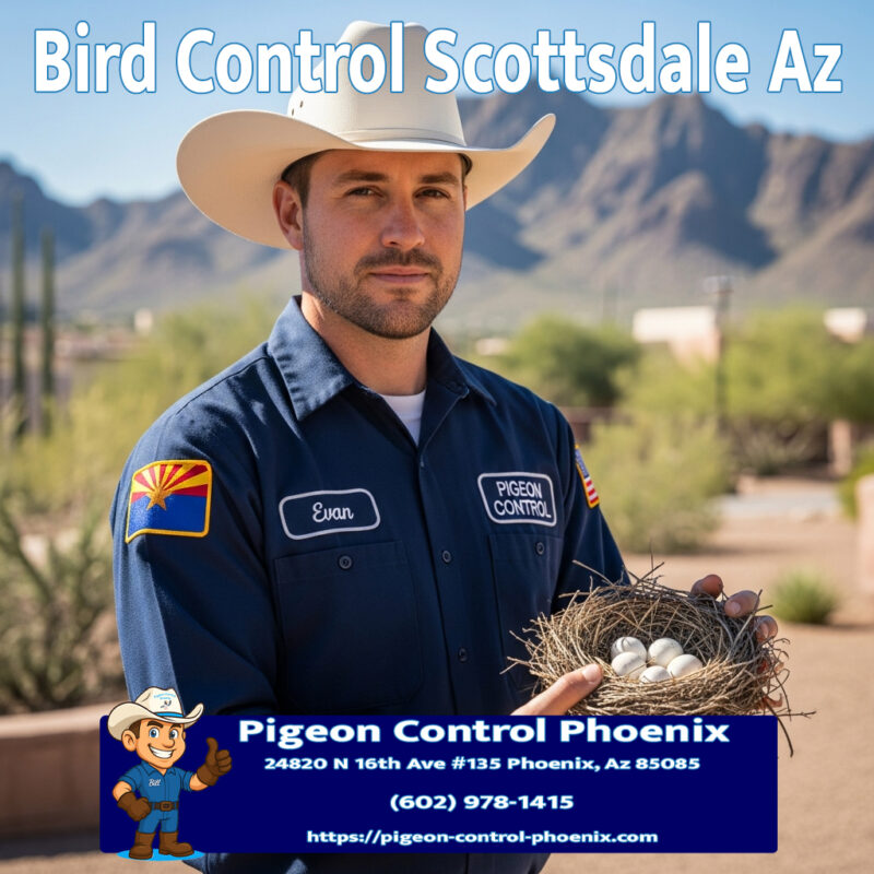 Bird Control Scottsdale Az