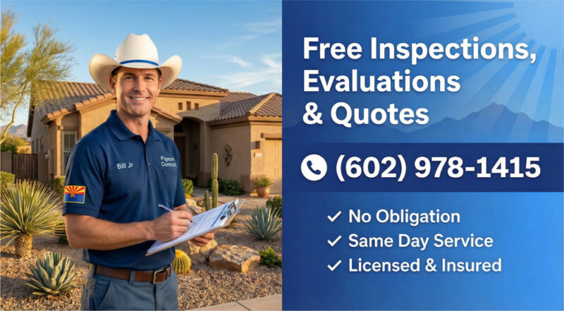 Free Quotes for Bird Netting Installation and Protection