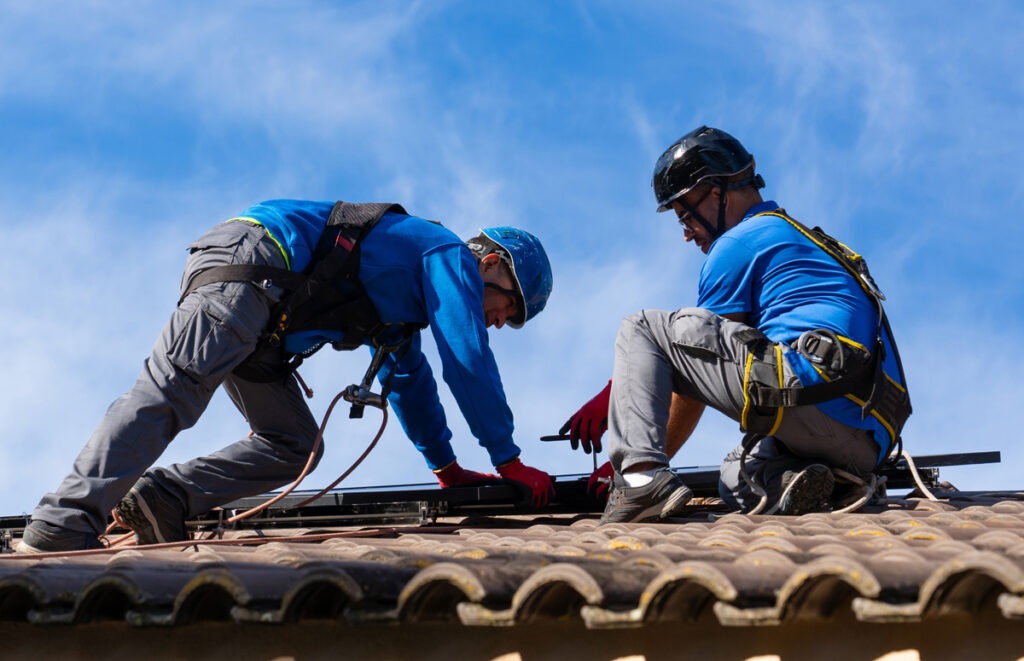 Bird Pest Control Glendale Az