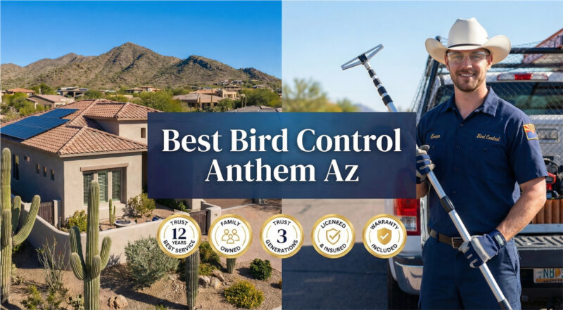 Best Bird Control Anthem Az