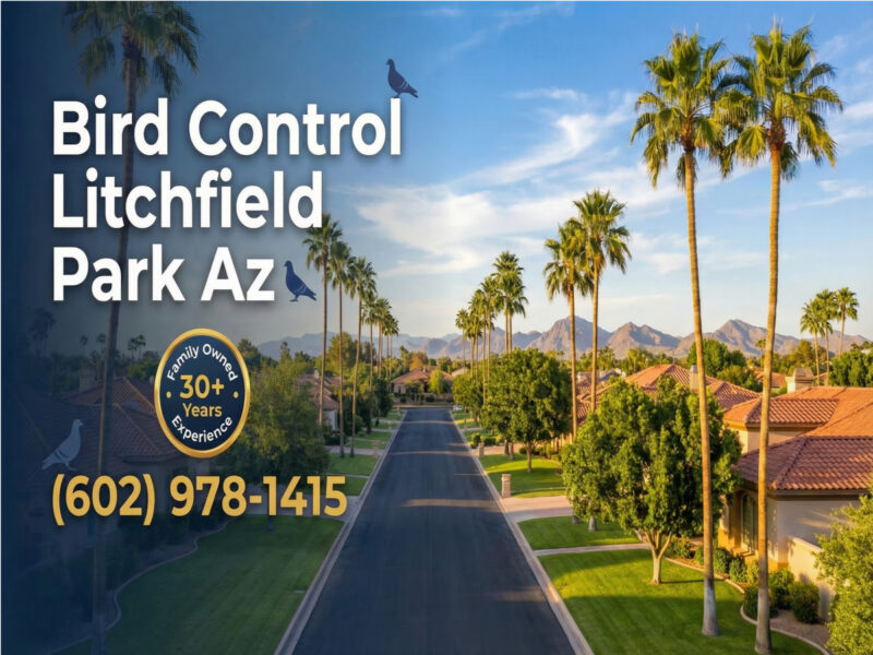 Bird Control Litchfield Park Az
