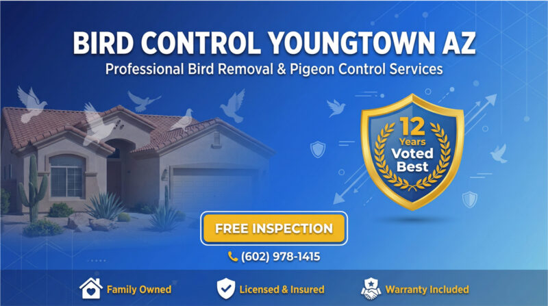 Bird Control Youngtown Az