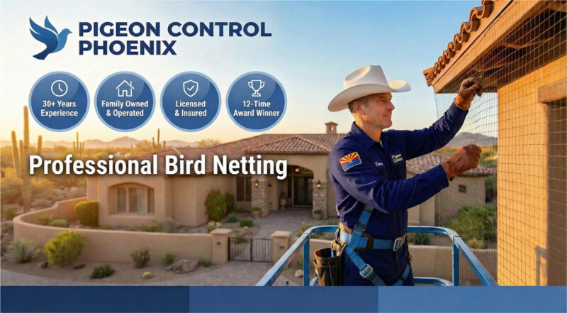 Professional Bird Netting in Arizona