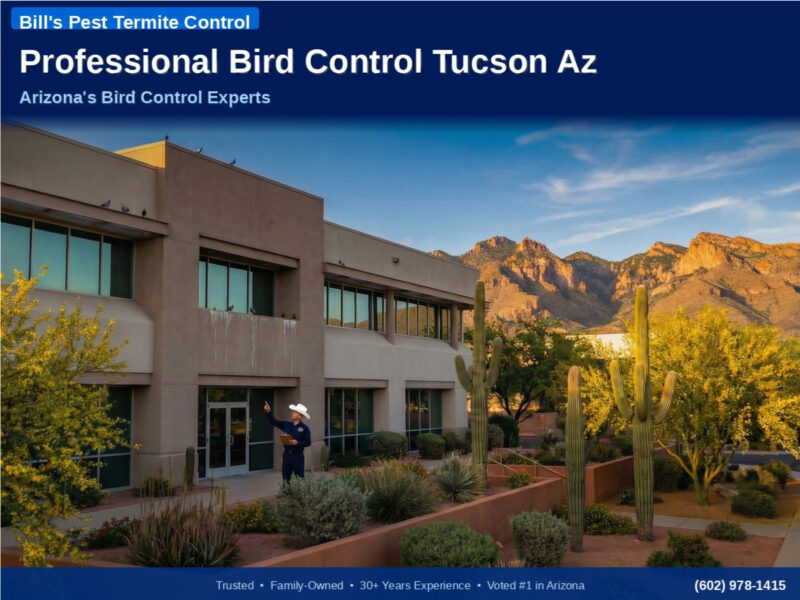 Professional Bird Control Tucson Az