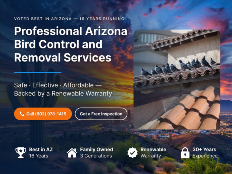 Professional Arizona Bird Control