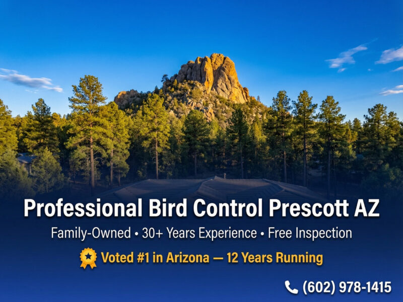 Professional Bird Control Prescott Az