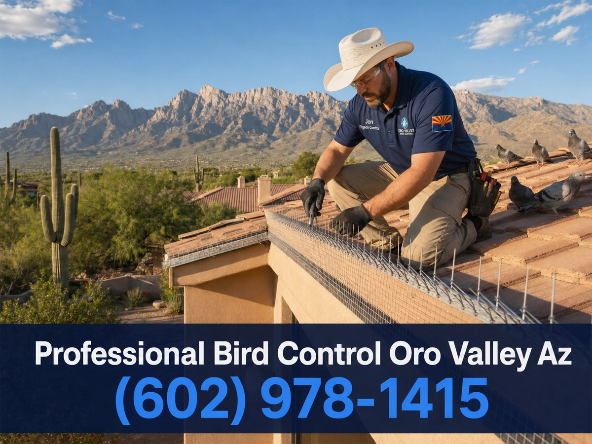 Bird Control Oro Valley Az