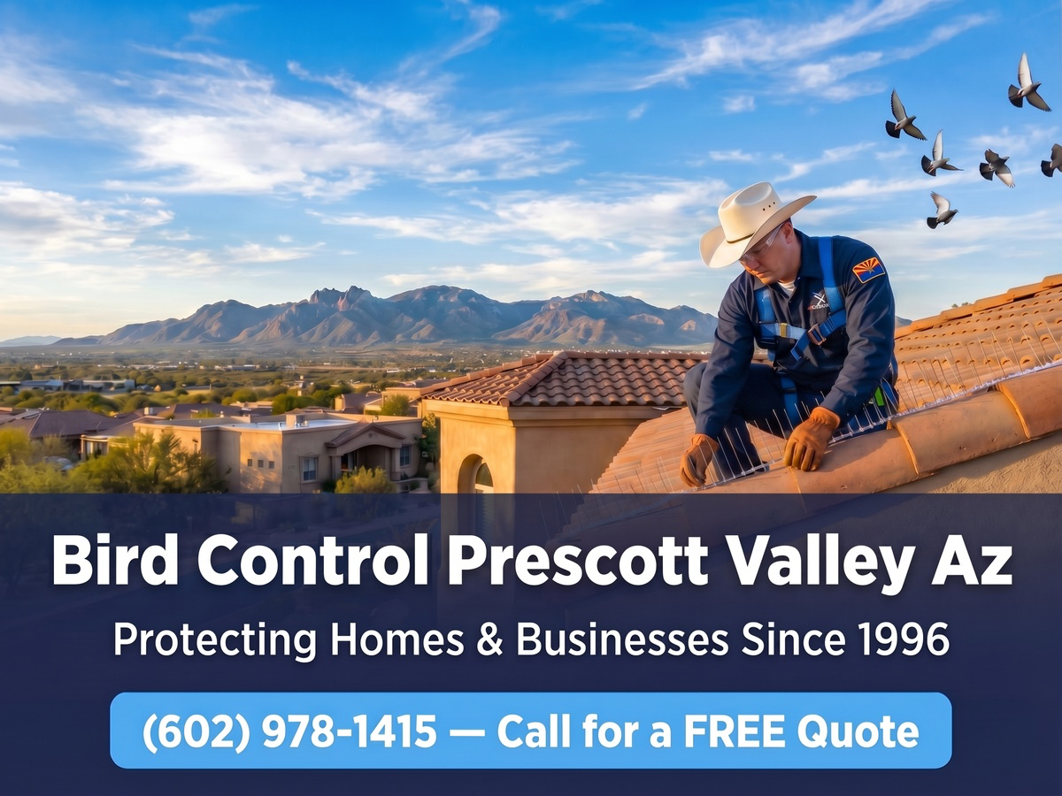 Bird Control Prescott Valley Az