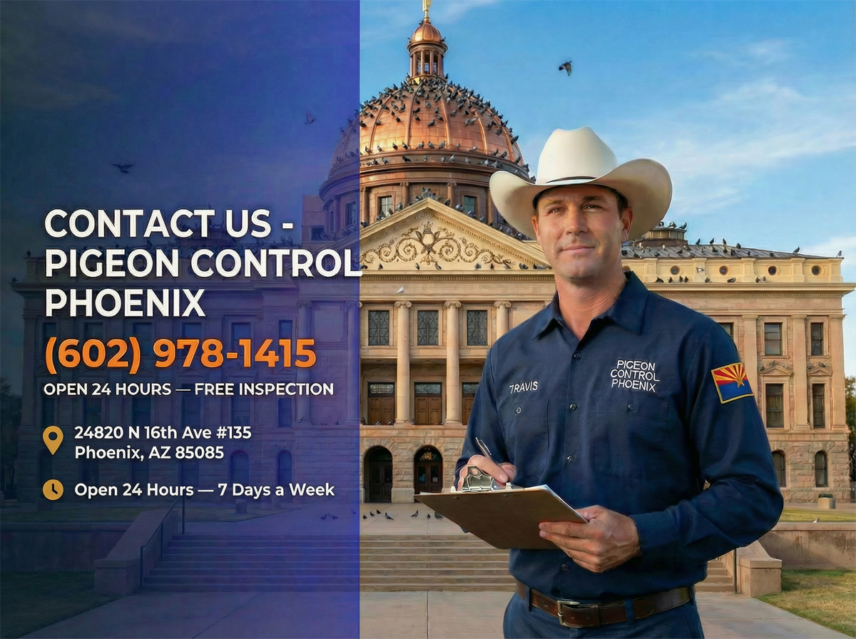 Contact Us | Pigeon Control Phoenix