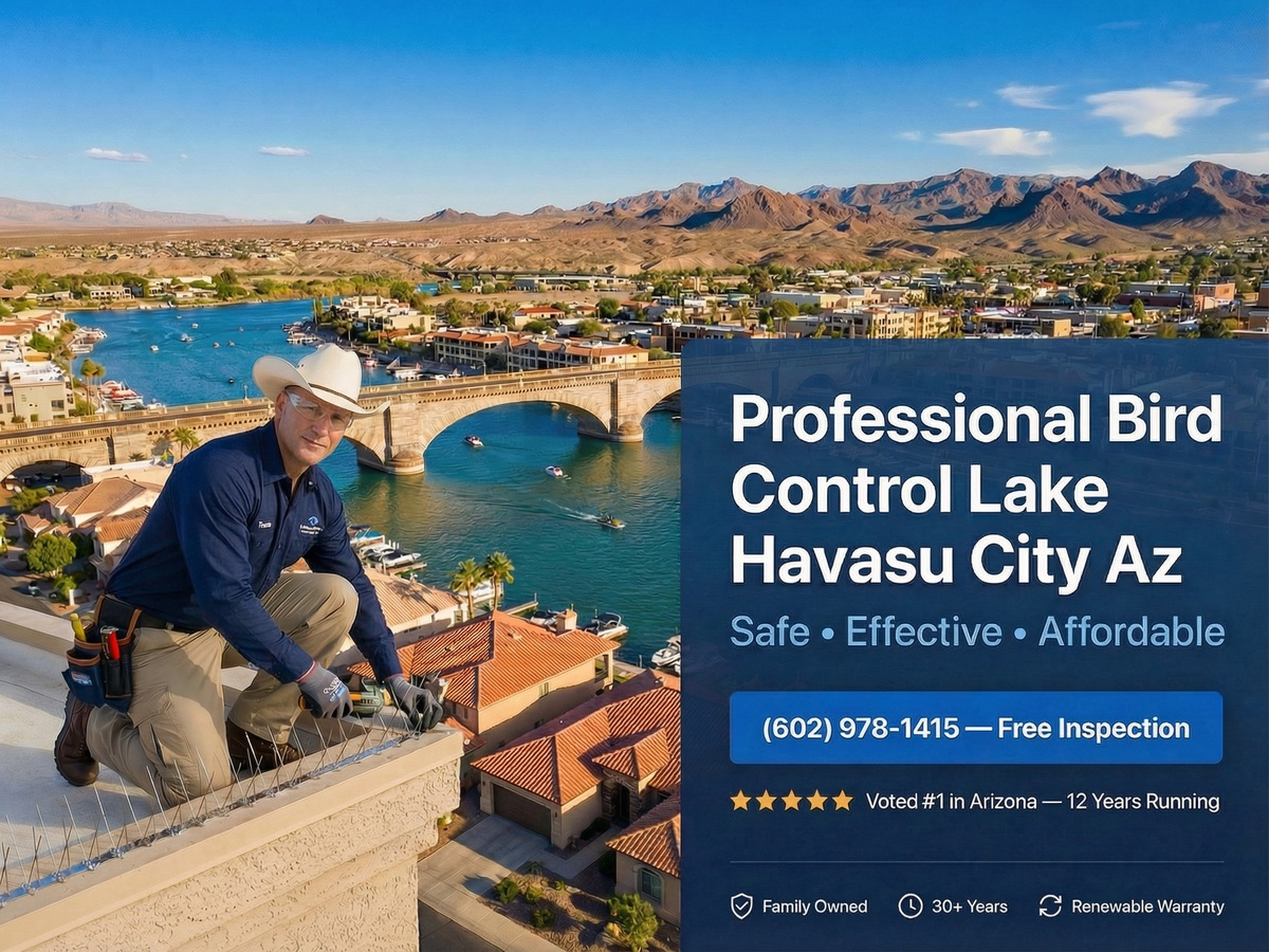 Professional Bird Control Lake Havasu City Az