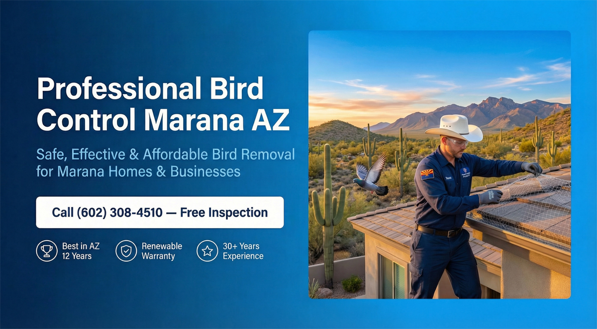 Professional Bird Control Marana Az