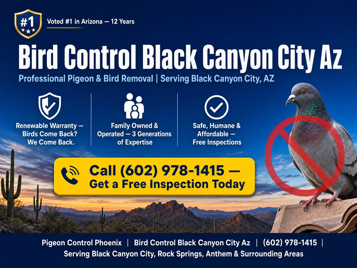 Bird Control Black Canyon City Az