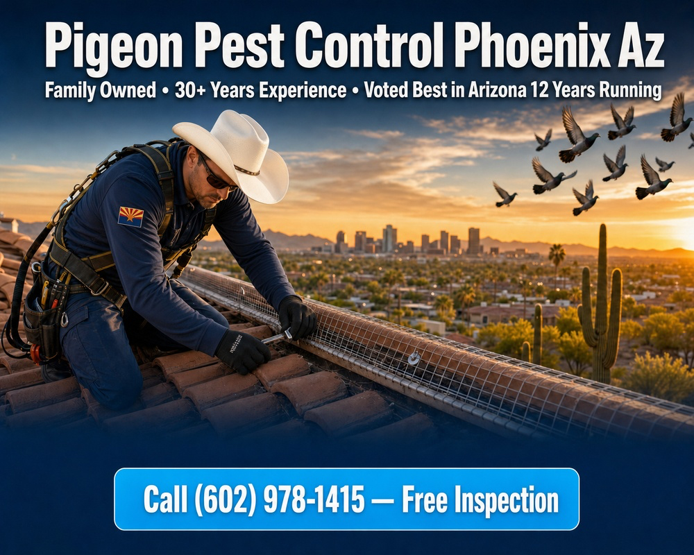 Pigeon Pest Control Phoenix Az | Pigeon Control Phoenix