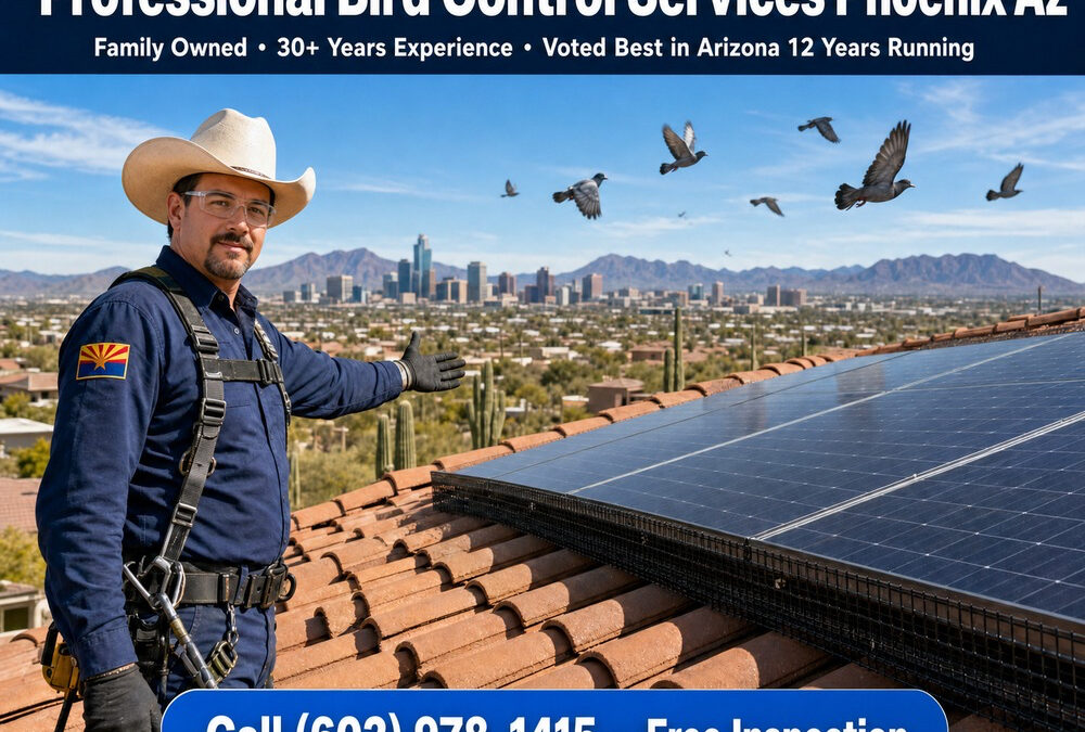 Bird Control Services Phoenix Az | Pigeon Control Phoenix