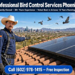 Bird Control Services Phoenix Az | Pigeon Control Phoenix