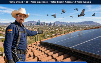Bird Control Services Phoenix Az | Pigeon Control Phoenix